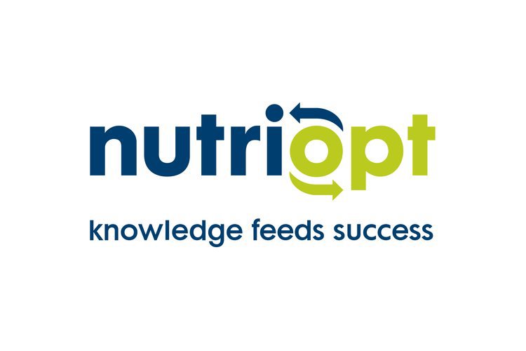 NutriOpt Actionable Analysis & NutriOpt Actionable Insights